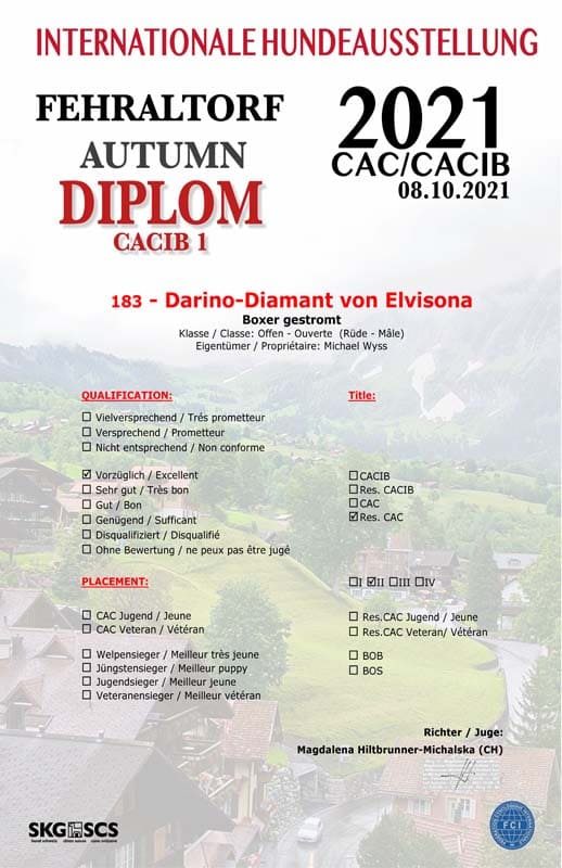 Darino-Diamant von Elvinsona-2021-10-08-CAC-CACIB-Fehraltdorf