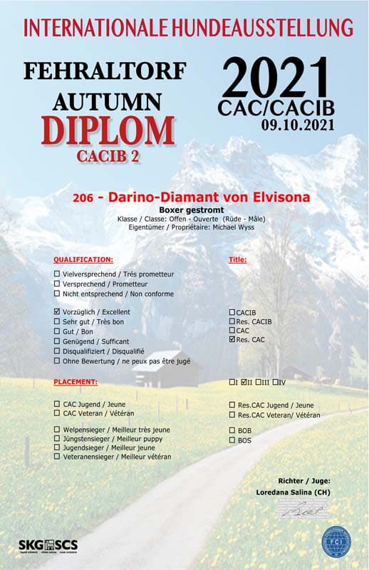 Darino-Diamant von Elvinsona-2021-10-09-CAC-CACIB-Fehraltdorf